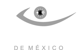 Logo Visiones de México