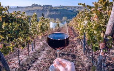 Vinícolas en Valle de Guadalupe: 5 imperdibles para tu viaje