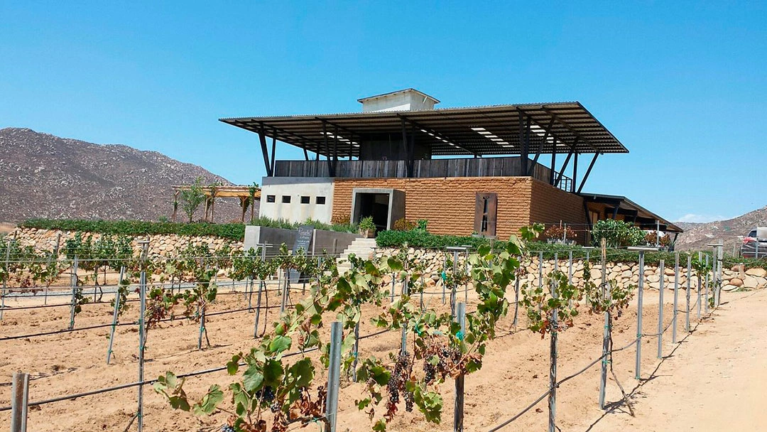 Vinicola-Torres-Alegre-y-Familia vinícolas en Valle de Guadalupe, vinícolas imperdibles Valle de Guadalupe, mejores vinícolas Valle de Guadalupe, turismo enológico Baja California, rutas del vino en México, cata de vinos en Valle de Guadalupe, viaje a Valle de Guadalupe, enoturismo México, bodegas Valle de Guadalupe, qué hacer en Valle de Guadalupe, vino mexicano Baja California