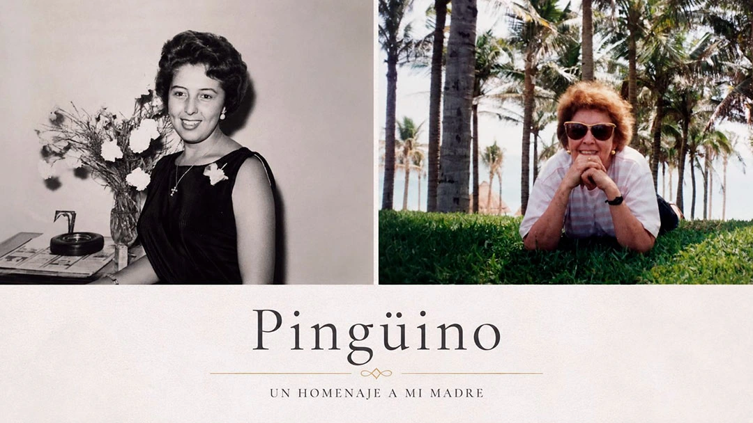 Homenaje a mi madre, recuerdo de mi madre, carta para mi madre fallecida, despedida a una madre, historia de una madre, amor de madre, duelo por la muerte de mi madre, homenaje a una madre, recuerdos de infancia, mamá siempre estará conmigo, historias familiares